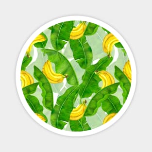 Bananas and leaves watercolor design Magnet